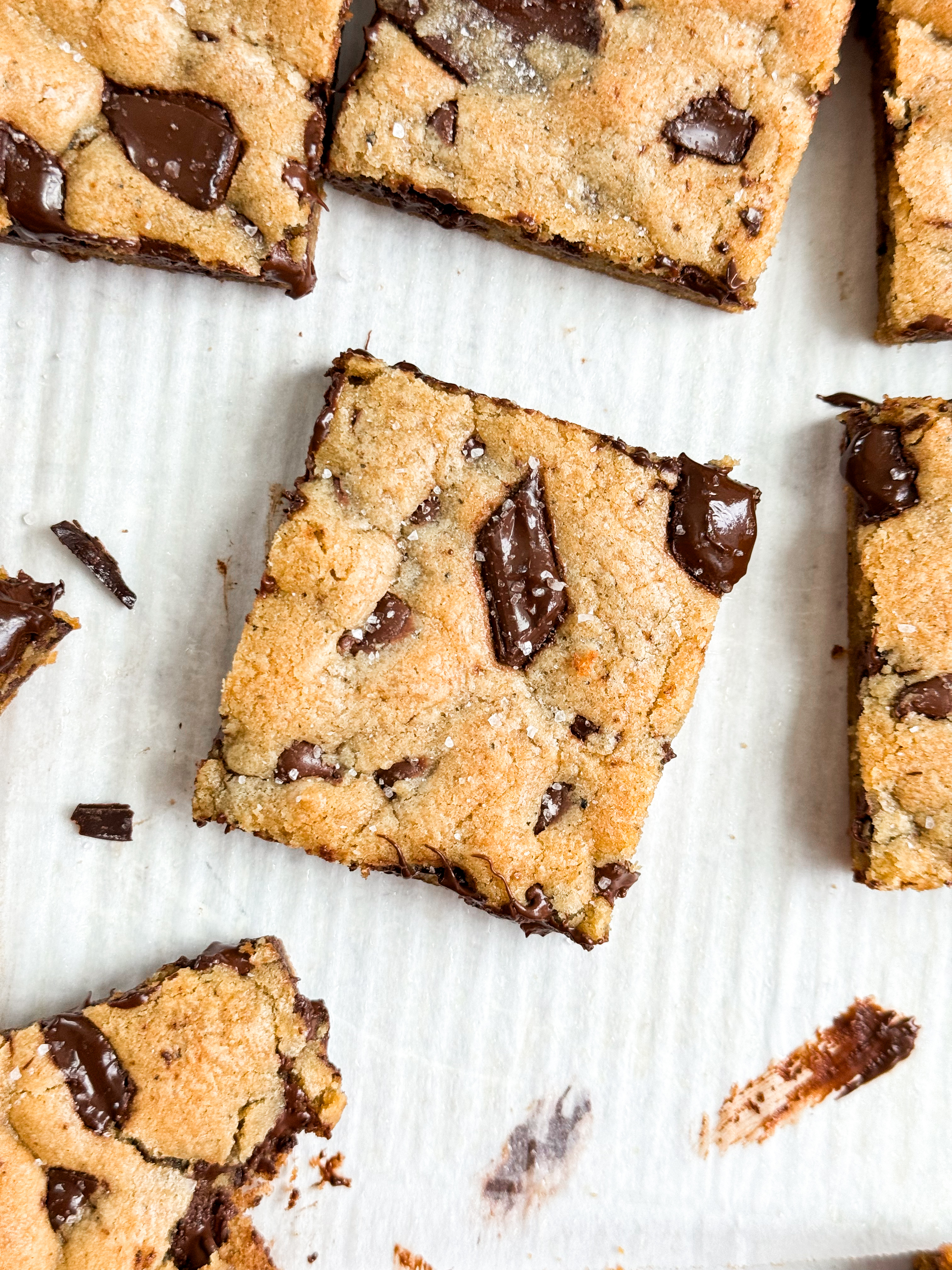 Brown-Butte- Chocolate-Chip-Cookie-Bars